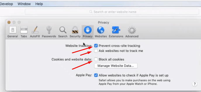 Apple Safari Privacy Settings
